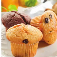 Страница 244