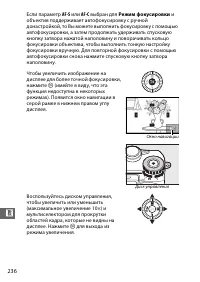 Страница 258