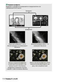 Страница 138