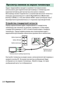 Страница 244