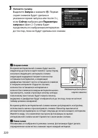 Страница 244