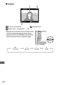 Страница 260