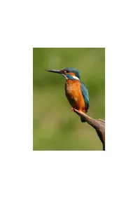 Страница 180