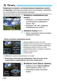 Страница 244