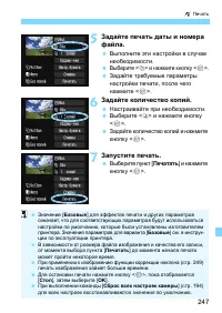 Страница 247