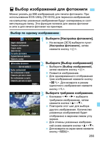 Страница 255