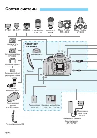 Страница 278