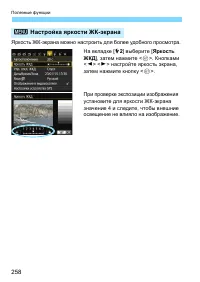 Страница 258