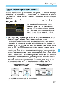 Страница 261