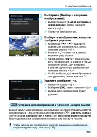 Страница 305