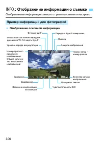 Страница 306