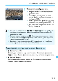 Страница 313