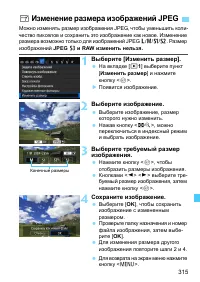 Страница 315