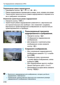 Страница 318