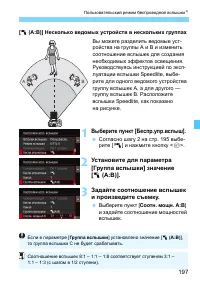 Страница 197