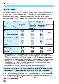 Страница 236