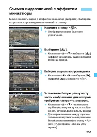 Страница 251