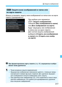 Страница 317