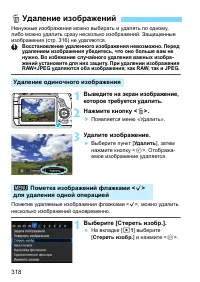 Страница 318