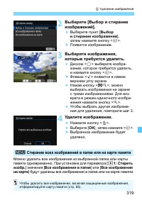 Страница 319