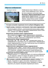 Страница 341