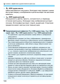 Страница 104