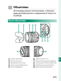 Страница 295