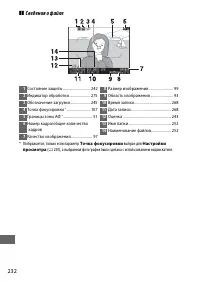 Страница 258