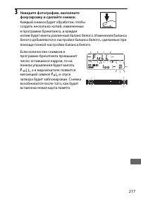 Страница 243