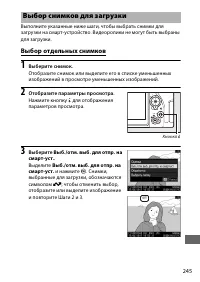 Страница 271