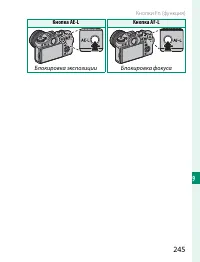 Страница 265