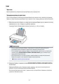 Страница 217