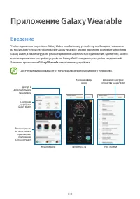 Страница 116