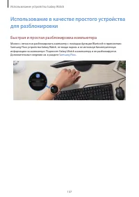 Страница 137