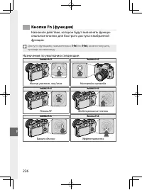 Страница 245