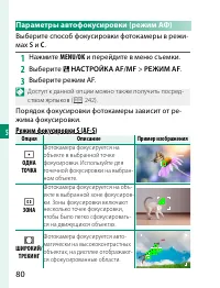 Страница 100