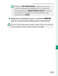 Страница 243