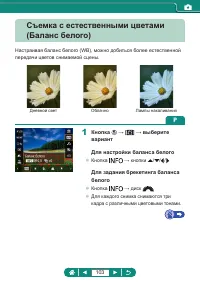 Страница 103