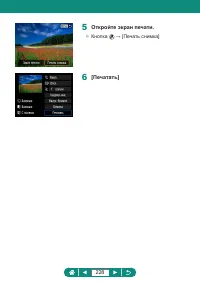 Страница 228