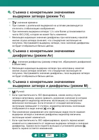 Страница 241