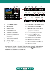 Страница 277