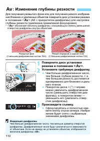 Страница 110