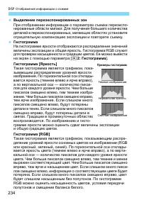 Страница 234