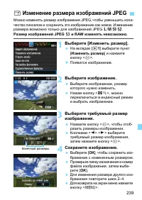 Страница 239