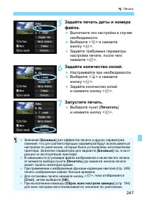 Страница 247