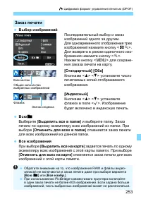 Страница 253