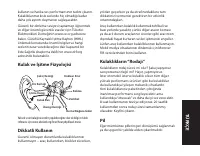 Страница 115