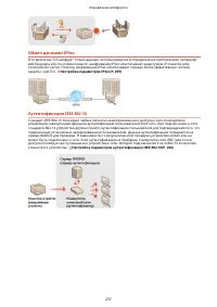 Страница 243