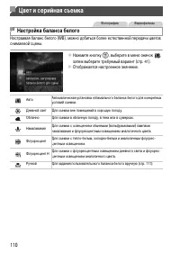 Страница 110