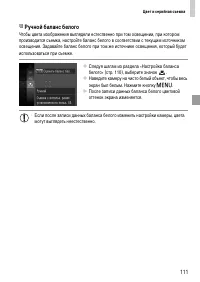 Страница 111